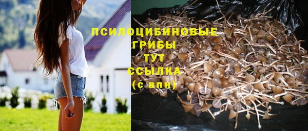 скорость mdpv Белокуриха