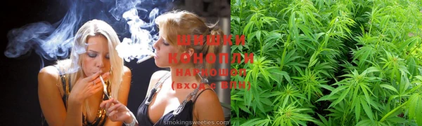 сатива Семилуки