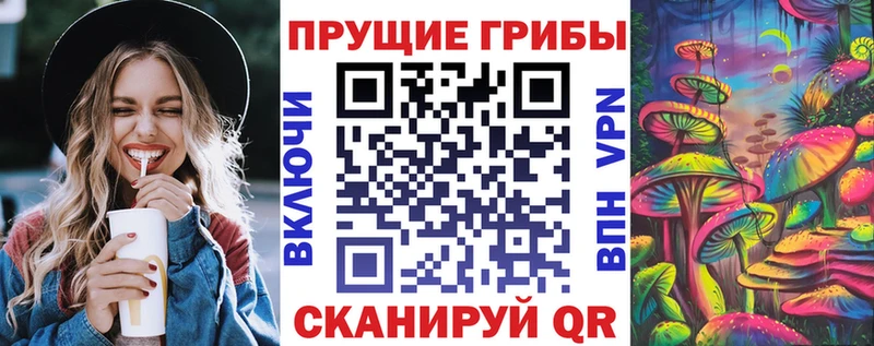 сайты даркнета состав  Верхотурье  Псилоцибиновые грибы Psilocybe 